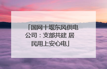 国网十堰东风供电公司：支部共建 居民用上安心电