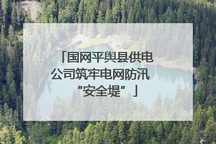 国网平舆县供电公司筑牢电网防汛“安全堤”