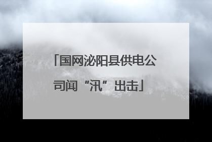国网泌阳县供电公司闻“汛”出击