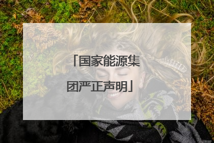 国家能源集团严正声明