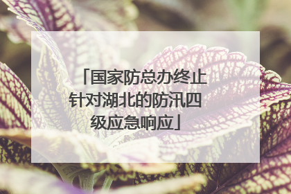 国家防总办终止针对湖北的防汛四级应急响应