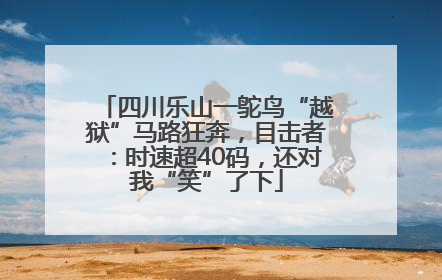 四川乐山一鸵鸟“越狱”马路狂奔，目击者：时速超40码，还对我“笑”了下