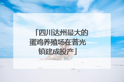四川达州最大的蛋鸡养殖场在普光镇建成投产