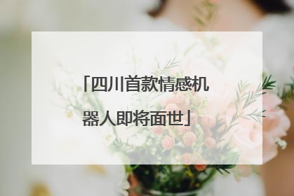 四川首款情感机器人即将面世