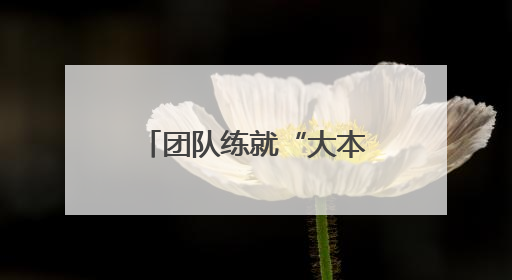 团队练就“大本事” 武汉霍尼特公司赋能头部车企智慧升级