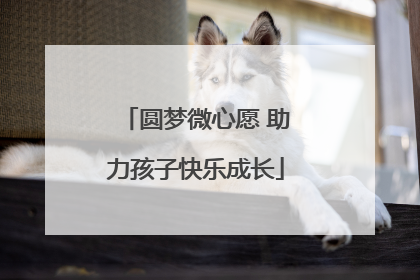 圆梦微心愿 助力孩子快乐成长