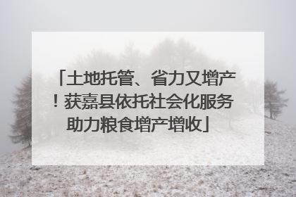 土地托管、省力又增产！获嘉县依托社会化服务助力粮食增产增收