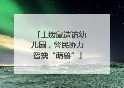 土拨鼠造访幼儿园，警民协力智擒“萌兽”