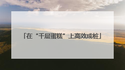 在“千层蛋糕”上高效成桩