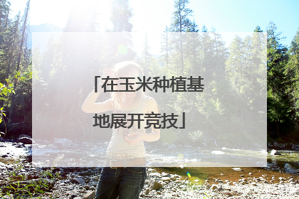 在玉米种植基地展开竞技