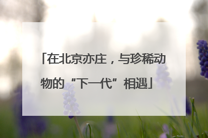 在北京亦庄，与珍稀动物的“下一代”相遇