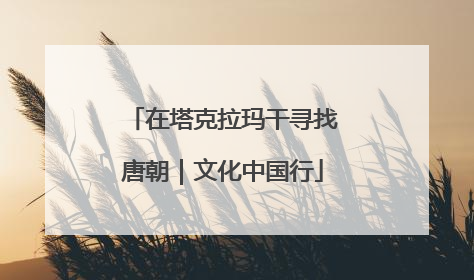 在塔克拉玛干寻找唐朝｜文化中国行