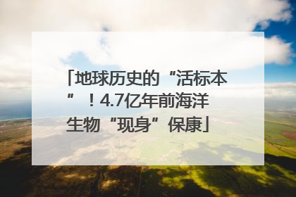 地球历史的“活标本”！4.7亿年前海洋生物“现身”保康