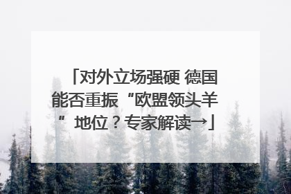 对外立场强硬 德国能否重振“欧盟领头羊”地位？专家解读→