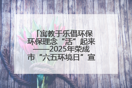 寓教于乐倡环保 环保理念“活”起来——2025年荣成市“六五环境日”宣传活动圆满举行