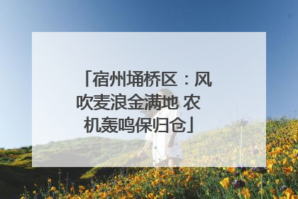宿州埇桥区：风吹麦浪金满地 农机轰鸣保归仓