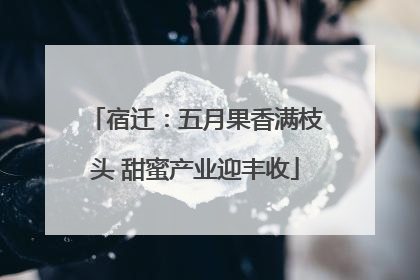 宿迁：五月果香满枝头 甜蜜产业迎丰收