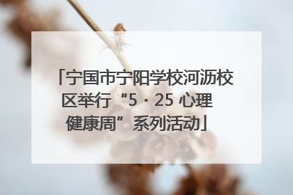 宁国市宁阳学校河沥校区举行“5・25 心理健康周”系列活动