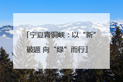 宁夏青铜峡：以“新”破题 向“绿”而行