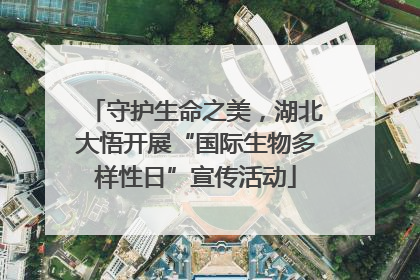 守护生命之美，湖北大悟开展“国际生物多样性日”宣传活动