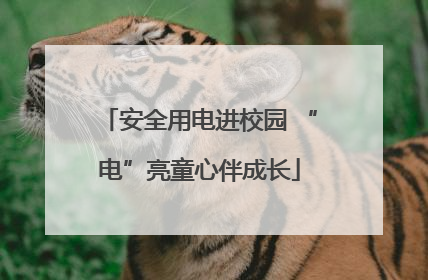 安全用电进校园 “电”亮童心伴成长
