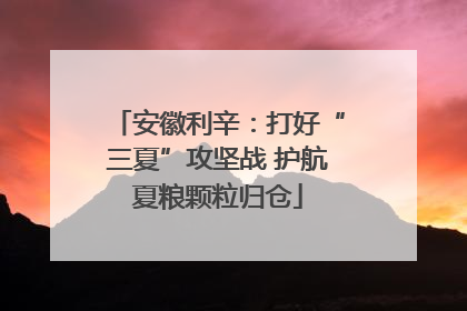 安徽利辛：打好“三夏”攻坚战 护航夏粮颗粒归仓