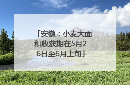 安徽：小麦大面积收获期在5月26日至6月上旬