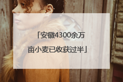 安徽4300余万亩小麦已收获过半