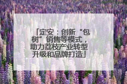 定安：创新“包树”销售等模式，助力荔枝产业转型升级和品牌打造