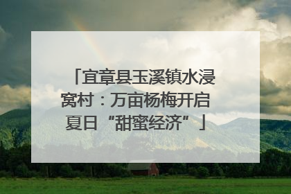 宜章县玉溪镇水浸窝村：万亩杨梅开启夏日“甜蜜经济”