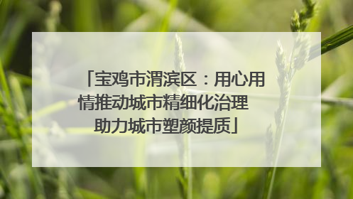 宝鸡市渭滨区：用心用情推动城市精细化治理 助力城市塑颜提质