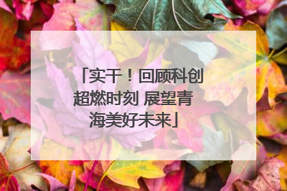 实干！回顾科创超燃时刻 展望青海美好未来