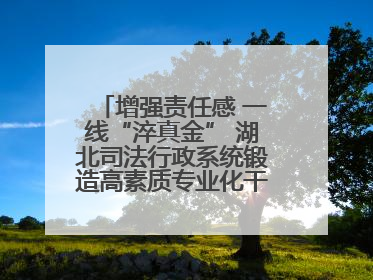 增强责任感 一线“淬真金” 湖北司法行政系统锻造高素质专业化干警队伍