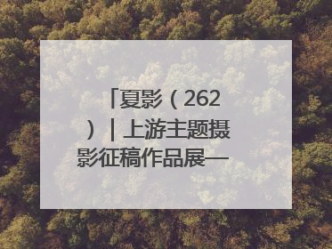 夏影（262）｜上游主题摄影征稿作品展——黄红专作品