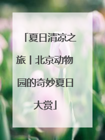 夏日清凉之旅丨北京动物园的奇妙夏日大赏