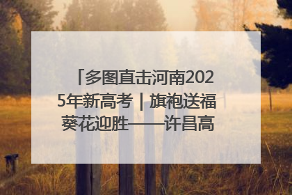 多图直击河南2025年新高考｜旗袍送福 葵花迎胜——许昌高考首日拉开帷幕