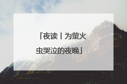夜读丨为萤火虫哭泣的夜晚