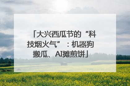 大兴西瓜节的“科技烟火气”：机器狗搬瓜、AI摊煎饼