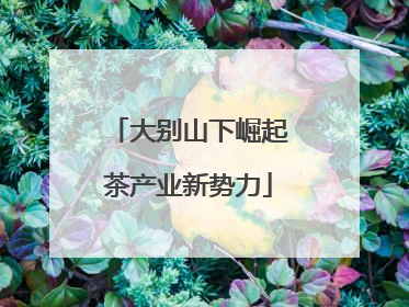 大别山下崛起茶产业新势力