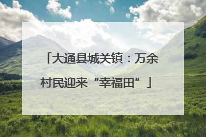 大通县城关镇：万余村民迎来“幸福田”