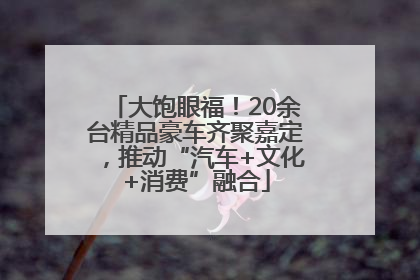大饱眼福！20余台精品豪车齐聚嘉定，推动“汽车+文化+消费”融合