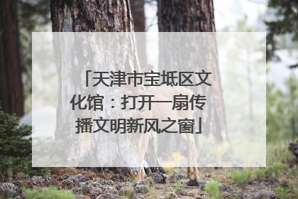 天津市宝坻区文化馆：打开一扇传播文明新风之窗