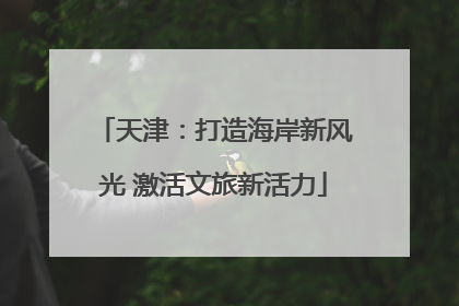 天津：打造海岸新风光 激活文旅新活力