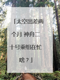 太空出差两个月 神舟二十号乘组在忙啥？