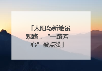 太阳岛新绘景观路，“一路芳心”被点赞