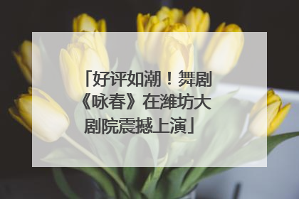 好评如潮！舞剧《咏春》在潍坊大剧院震撼上演