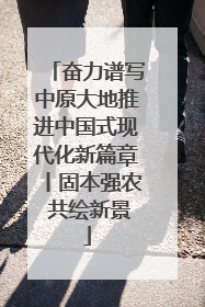 奋力谱写中原大地推进中国式现代化新篇章丨固本强农 共绘新景