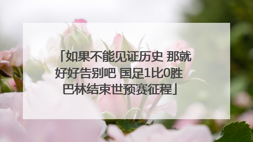 如果不能见证历史 那就好好告别吧 国足1比0胜巴林结束世预赛征程