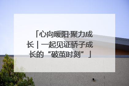 心向暖阳·聚力成长｜一起见证骄子成长的“破茧时刻”