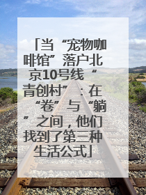 当“宠物咖啡馆”落户北京10号线“青创村”：在“卷”与“躺”之间，他们找到了第三种生活公式